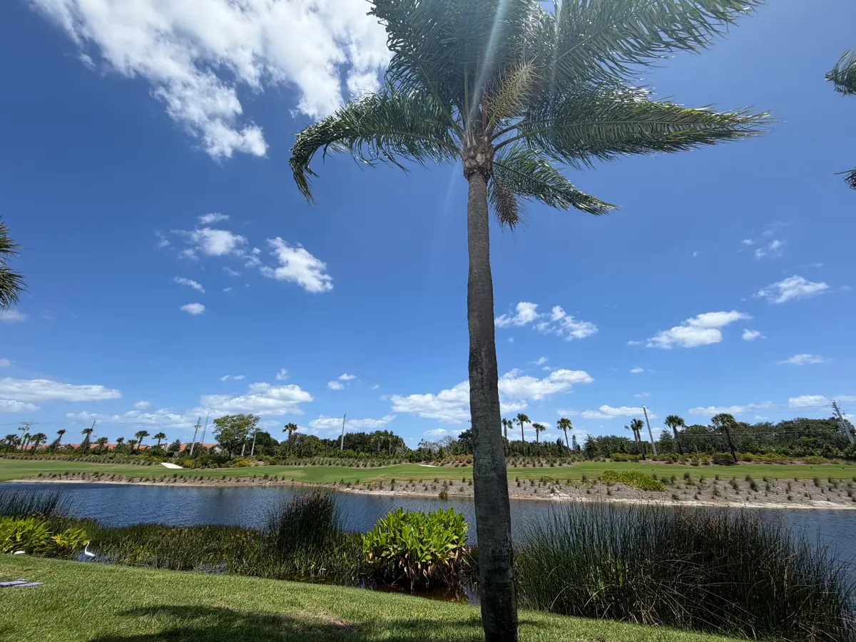 backyard view at 10860 Tamarisk Trail, Boynton Beach