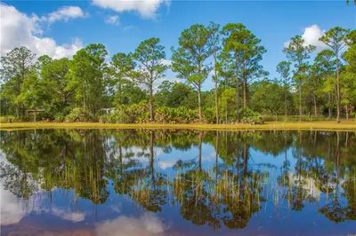 13955 87th Street, Fellsmere – Agriculture for sale
