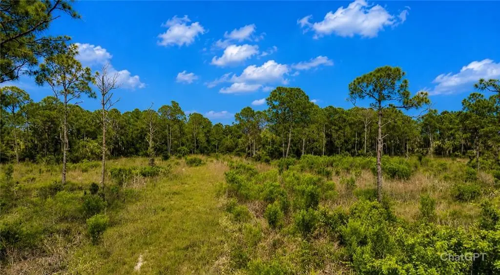 2320 82ND Avenue, Vero Beach, FL – photo 2