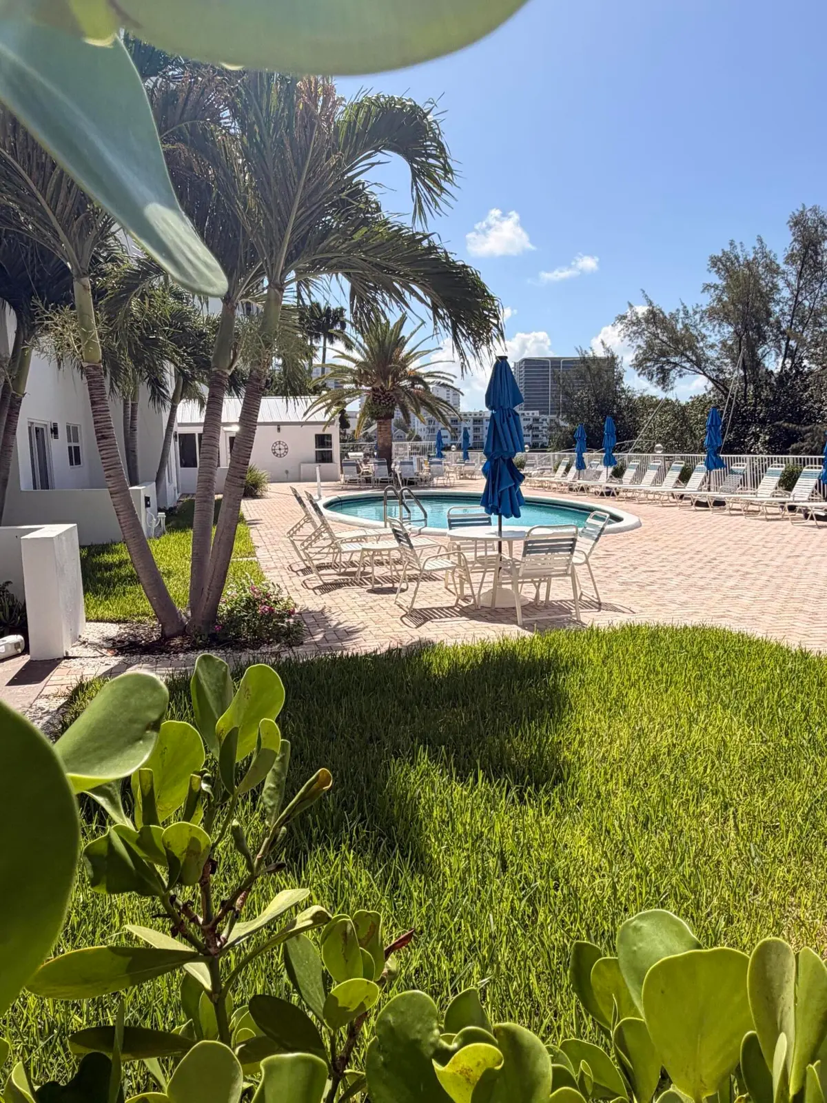 Pool at 2840 NE 14th Street 403a, Pompano Beach