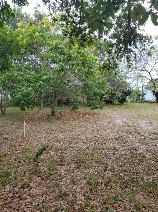 _ SW 56th Avenue, Davie, FL – photo 6