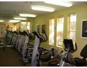royal_poinciana_exercise at 1267 SW 46TH Avenue 2316, Pompano Beach