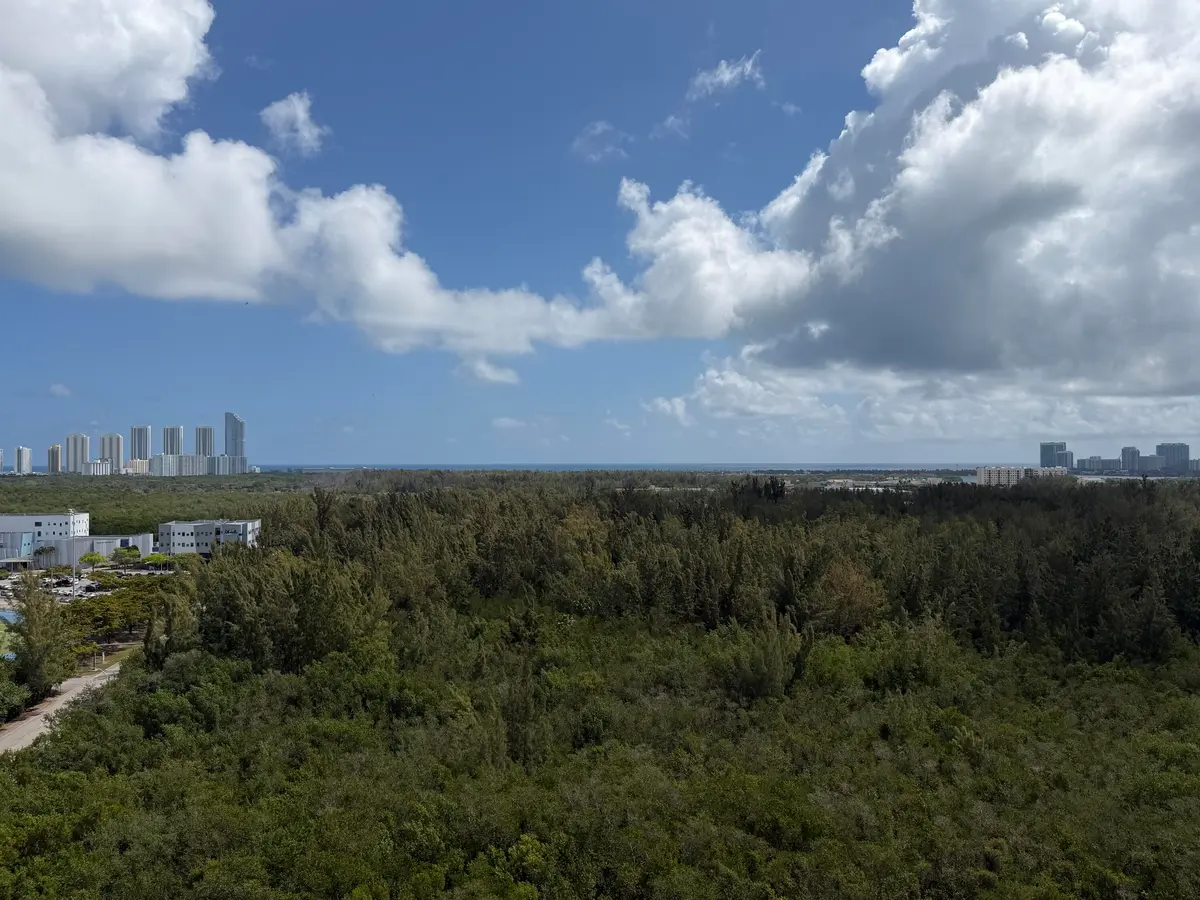 View at 15051 Royal Oaks Lane 1603, North Miami