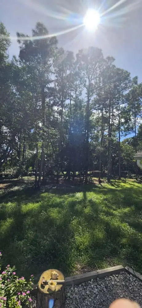 Jupiter Back 2 at 15941 MELLEN Lane, Jupiter Farms