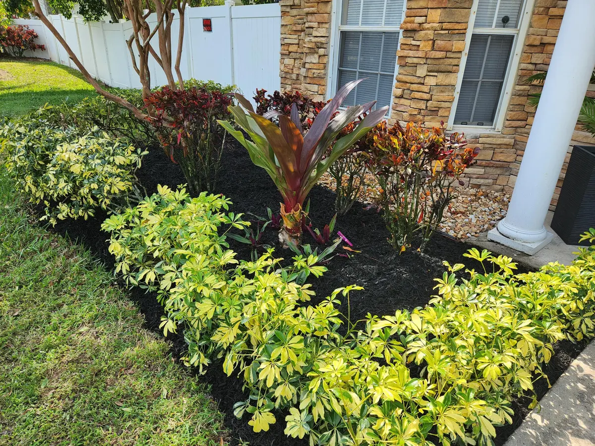Front Yard1 at 6303 Royal Palm Beach Boulevard, West Palm Beach