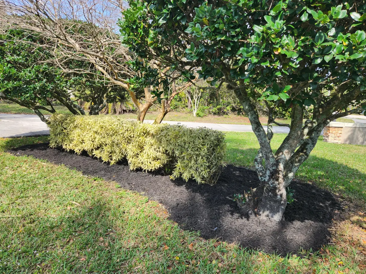front yard at 6303 Royal Palm Beach Boulevard, West Palm Beach