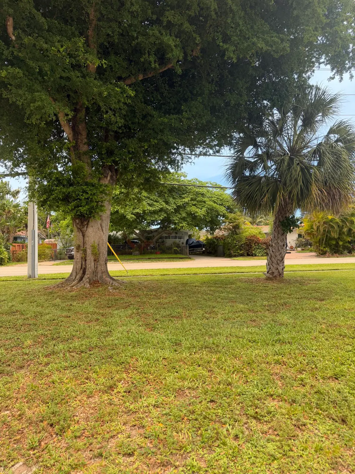 Yard at 900 Citrus Isle, Fort Lauderdale