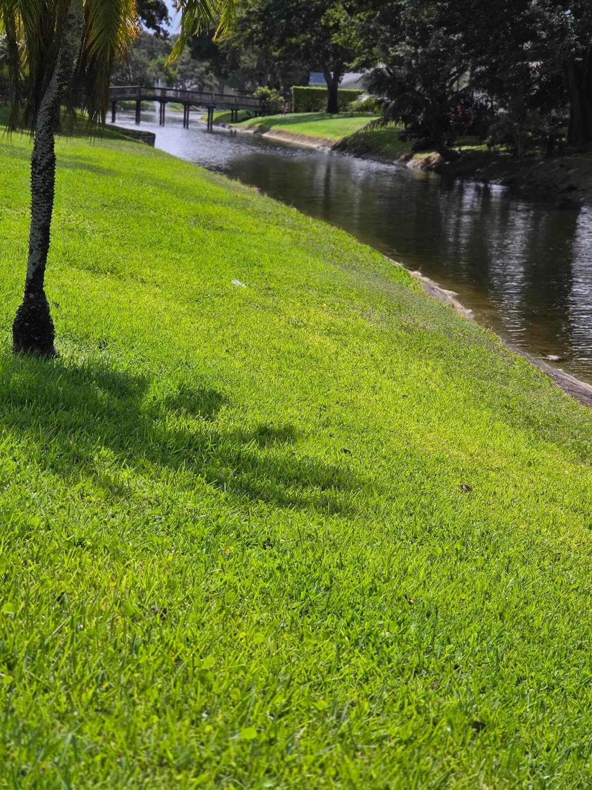 20260724_155220 at 10727 Ladypalm Lane B, Boca Raton