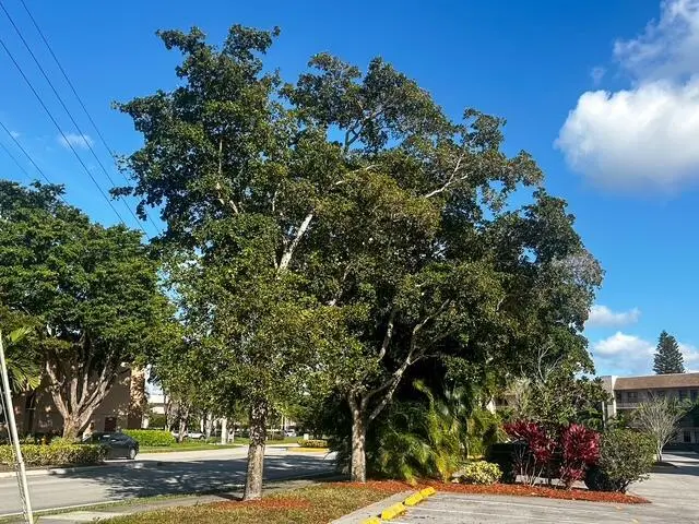Parking area at 10332 SUNRISE LAKES Boulevard 111, Sunrise