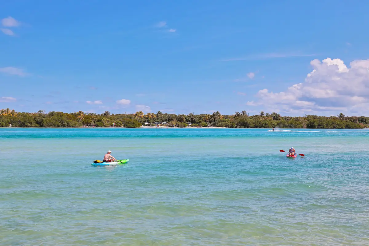 Sights and Sounds of Nature at 100 Waterway Road, Jupiter