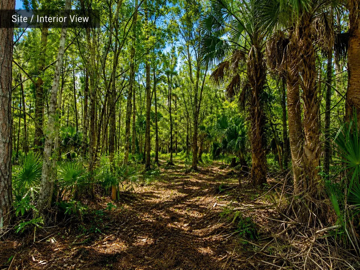 MLS_06_Site_Interior_View at 649 SEBASTIAN Boulevard, Sebastian