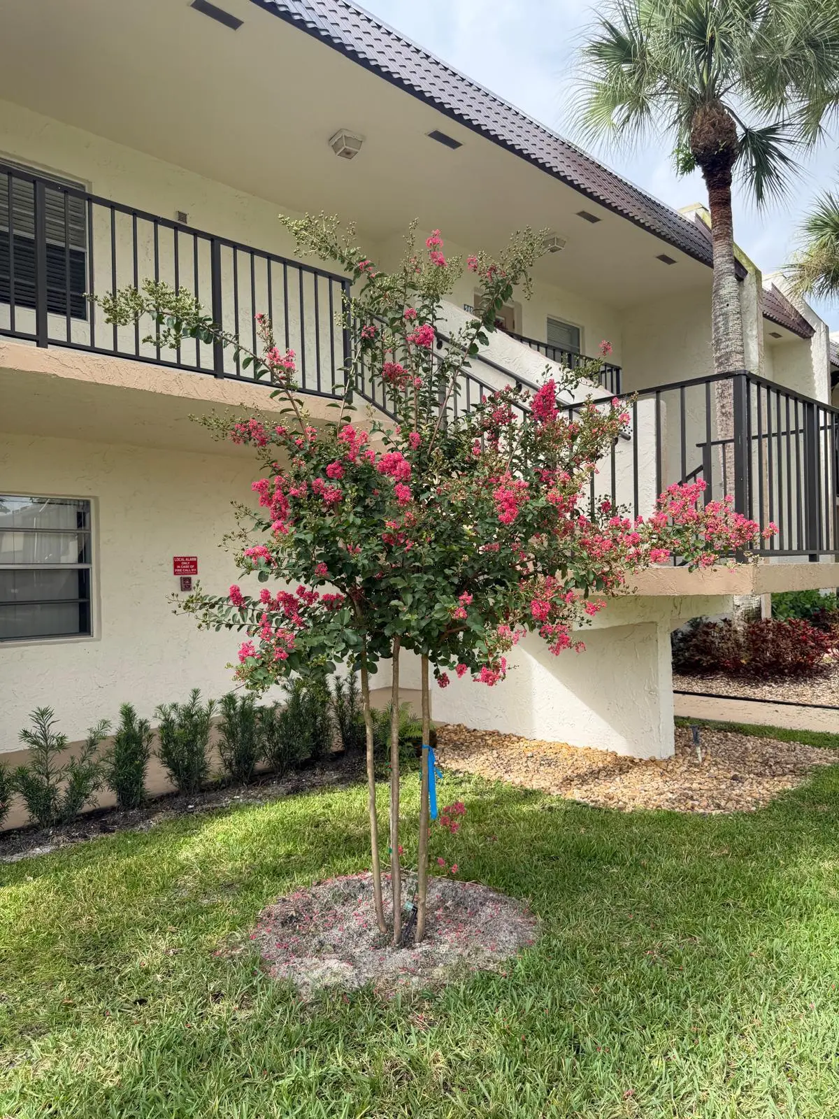 IMG_2843 at 150 Lake Meryl Drive 247, West Palm Beach