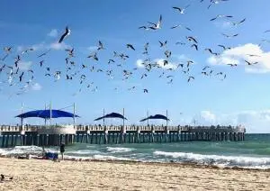 Beach at 1012 N OCEAN Boulevard 802, Pompano Beach