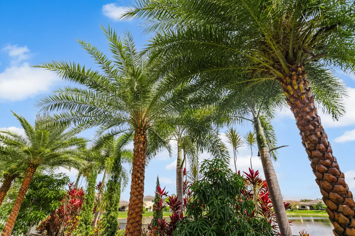 A7_02495 at 10768 AZUL Lane, Parkland