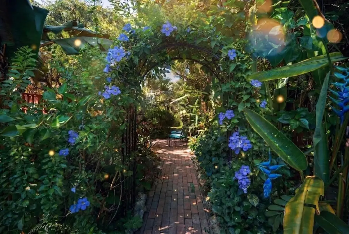 126 S A Street blue blossom arc at 126 S A Street, Lake Worth Beach
