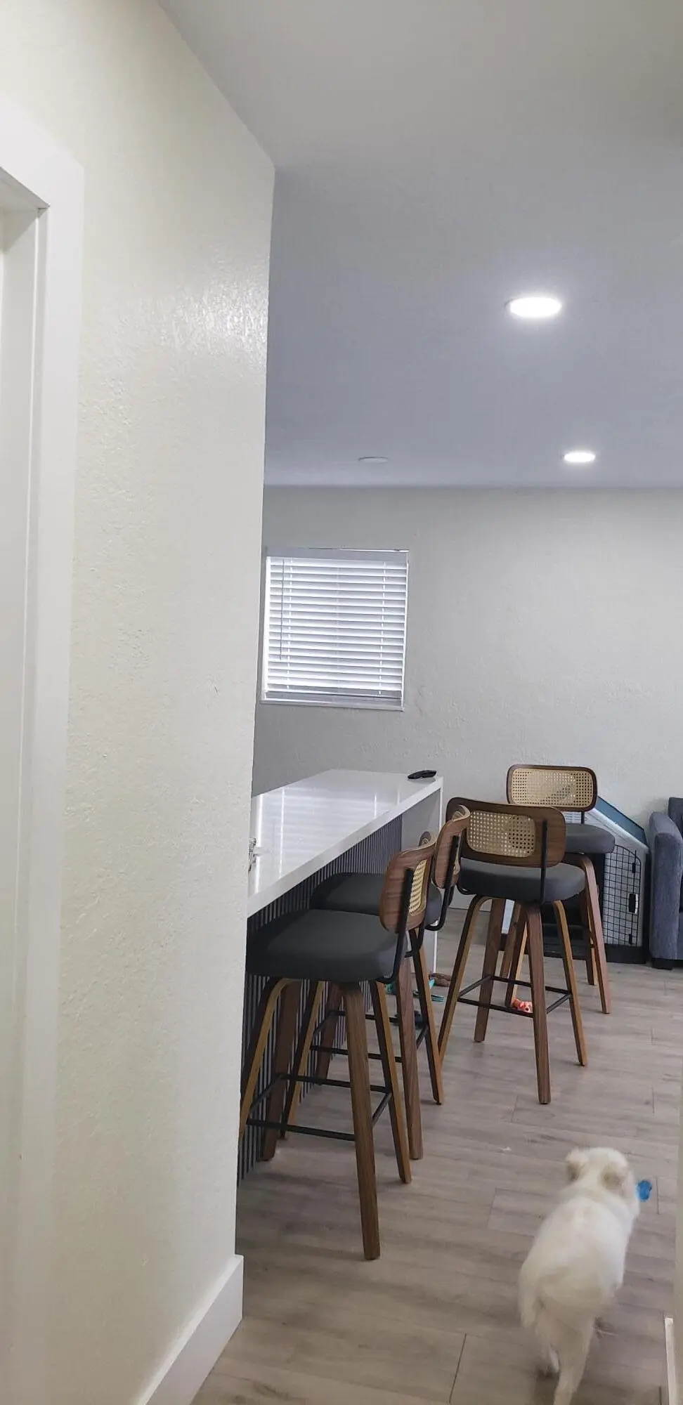 joelkitislanotherside at 1520 N 68th Terrace, Hollywood