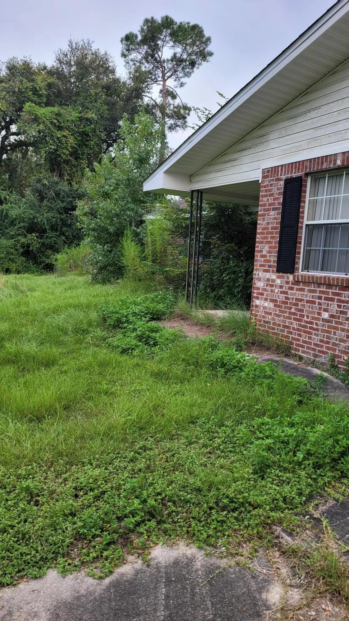 P1 LFT FRONT at 3335 PEANUT Road, Cottondale