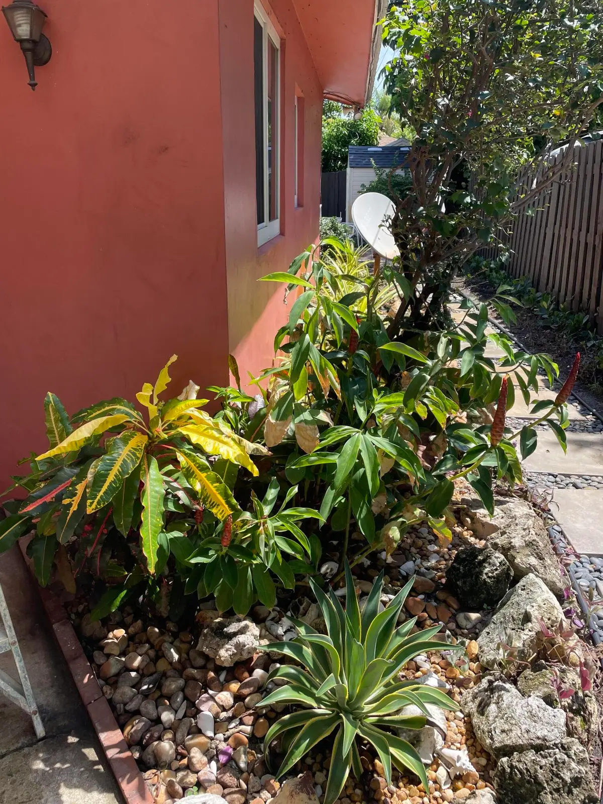 IMG_0075 at 412 NE Eller Street, Deerfield Beach