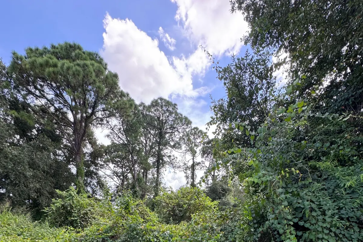 6801 Deland Avenue at 6801 Deland Avenue, Fort Pierce