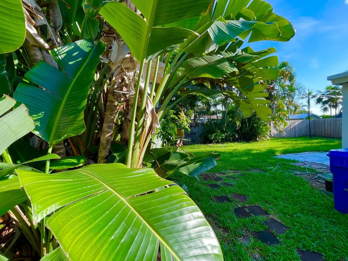 backyard at 1481 NE 27TH Street, Pompano Beach