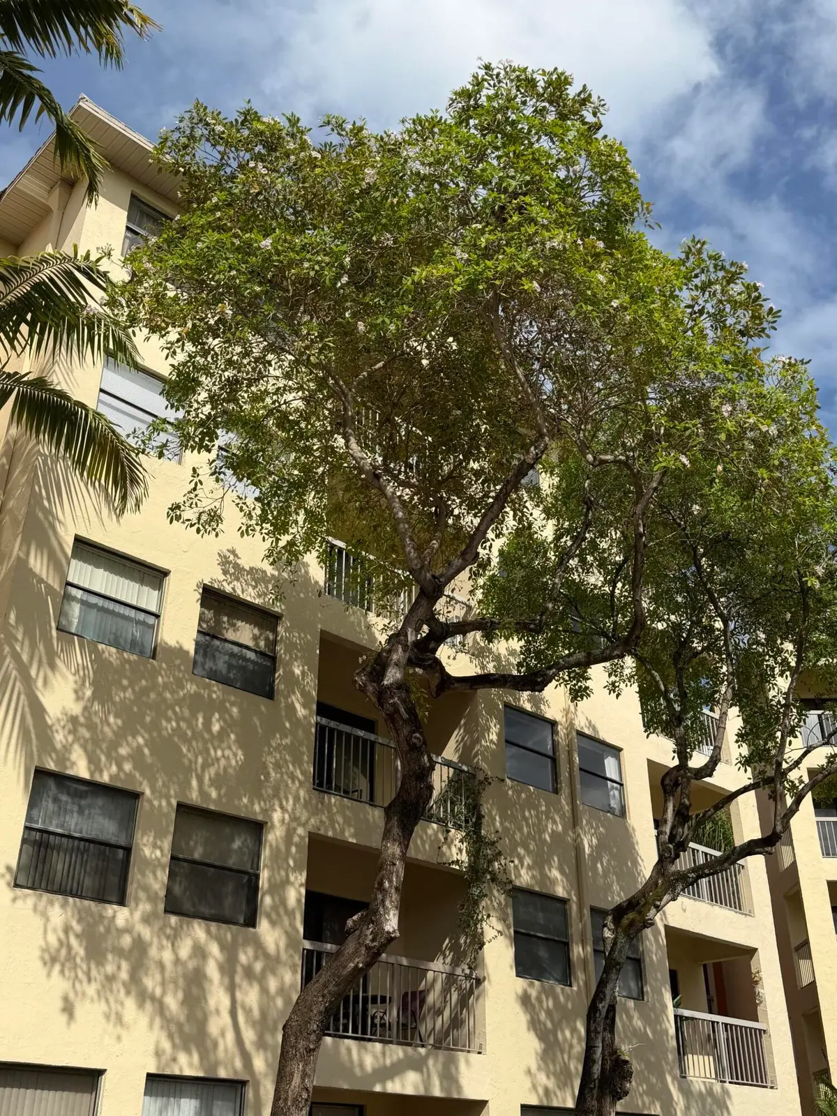 8343 Building 4 at 8343 LAKE Drive 207, Doral