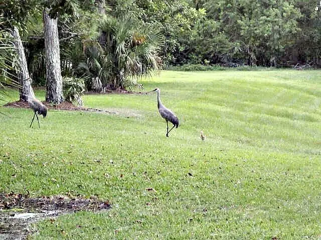 20240806162532090780000000-o at 1604 SE Green Acres Circle T103, Port St. Lucie