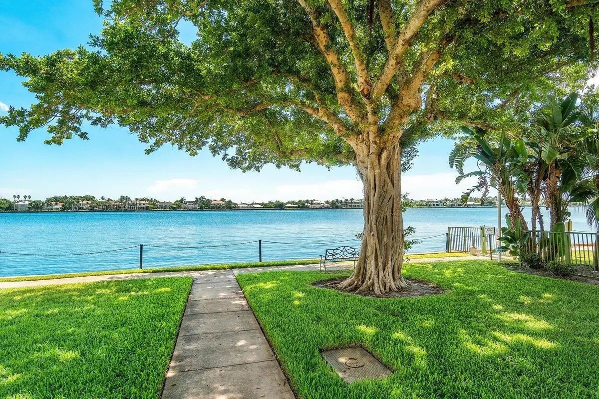 yacht club TREE and Metal BENCH at 103 Yacht Club Way 104, Hypoluxo