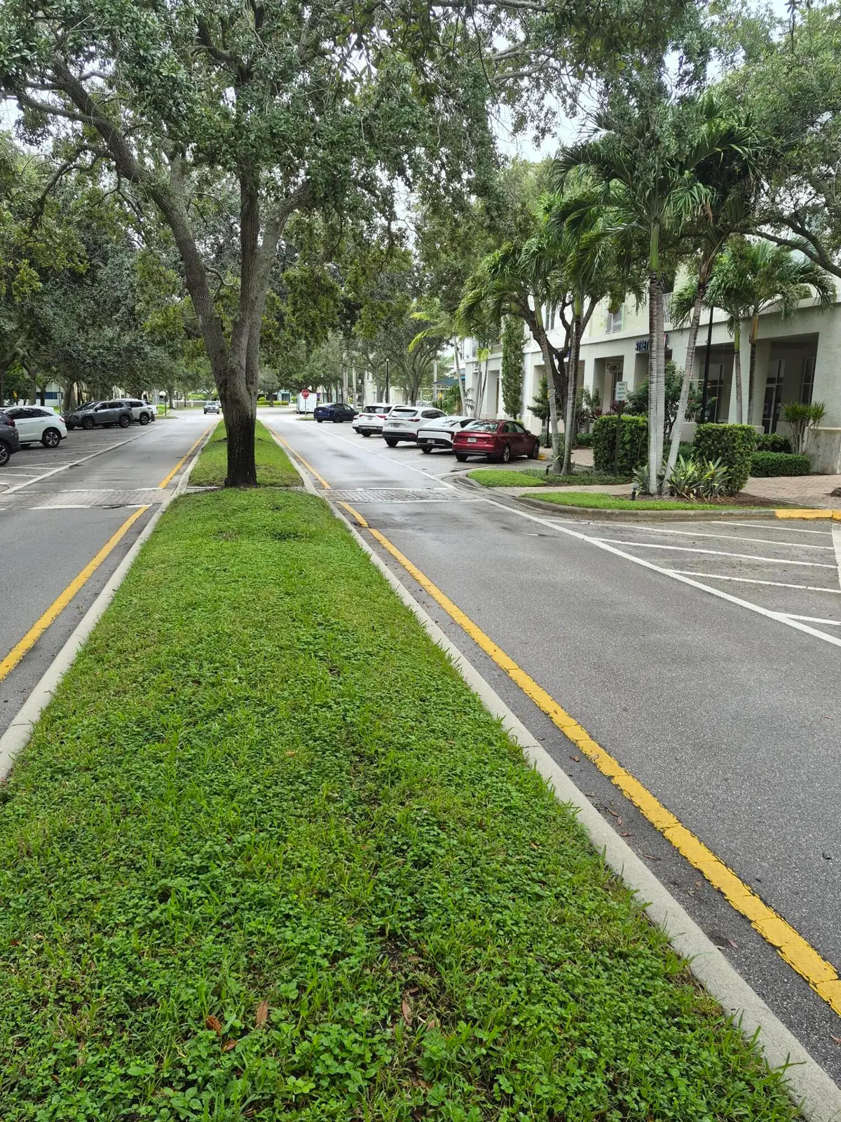 01_beyc6aab102e05eb0 at 1209 MAIN Street 205, Jupiter