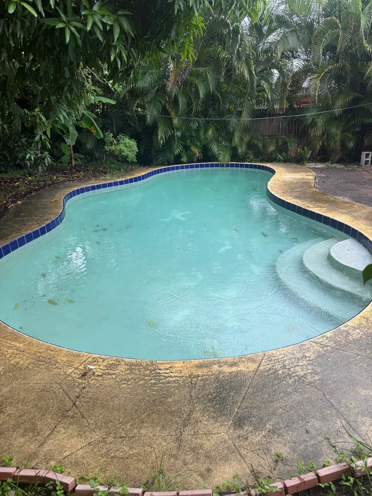 pool at 433 SW 10TH Avenue, Boynton Beach