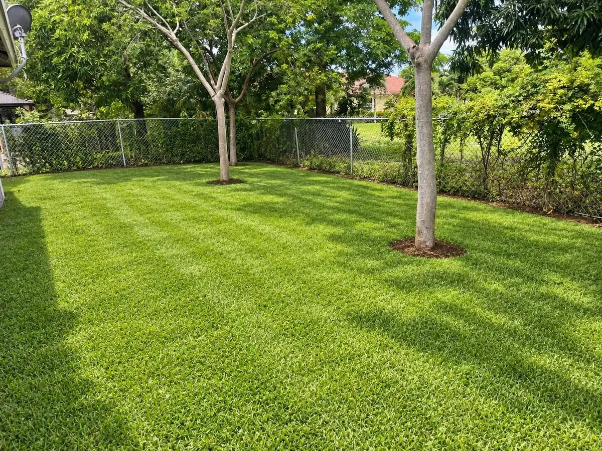 Backyard at 171 SE 3RD Street B, Deerfield Beach
