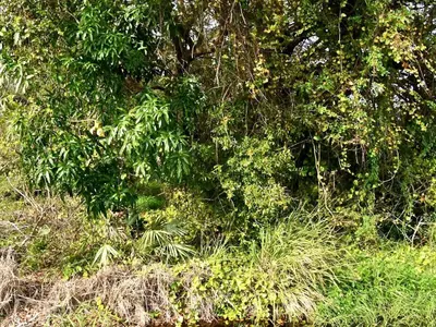 Tbd N 37th Street, Fort Pierce – Unimproved Land for sale