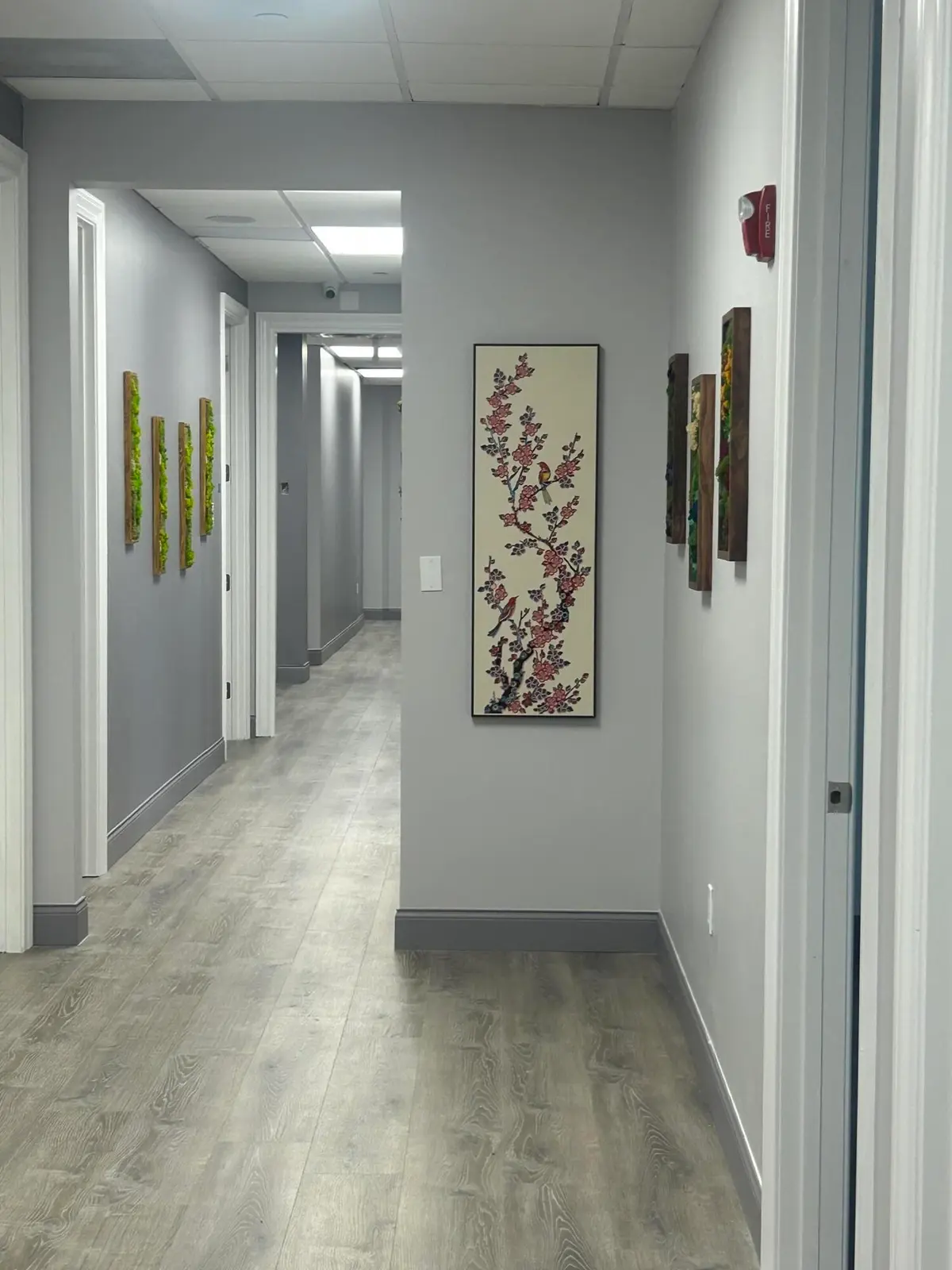 Hallway at 1690 S Congress Avenue Suite 212, Delray Beach