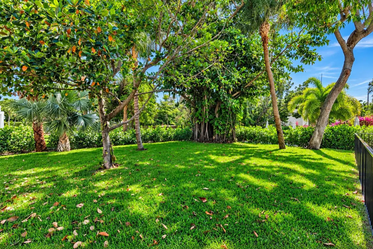 Backyard at 237 Monroe Drive, West Palm Beach