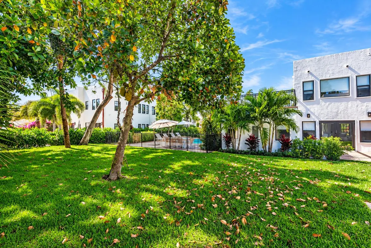 Backyard at 237 Monroe Drive, West Palm Beach
