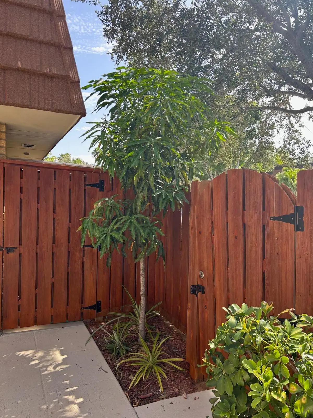 Courtyard at 2610 26th Court 2610, Jupiter