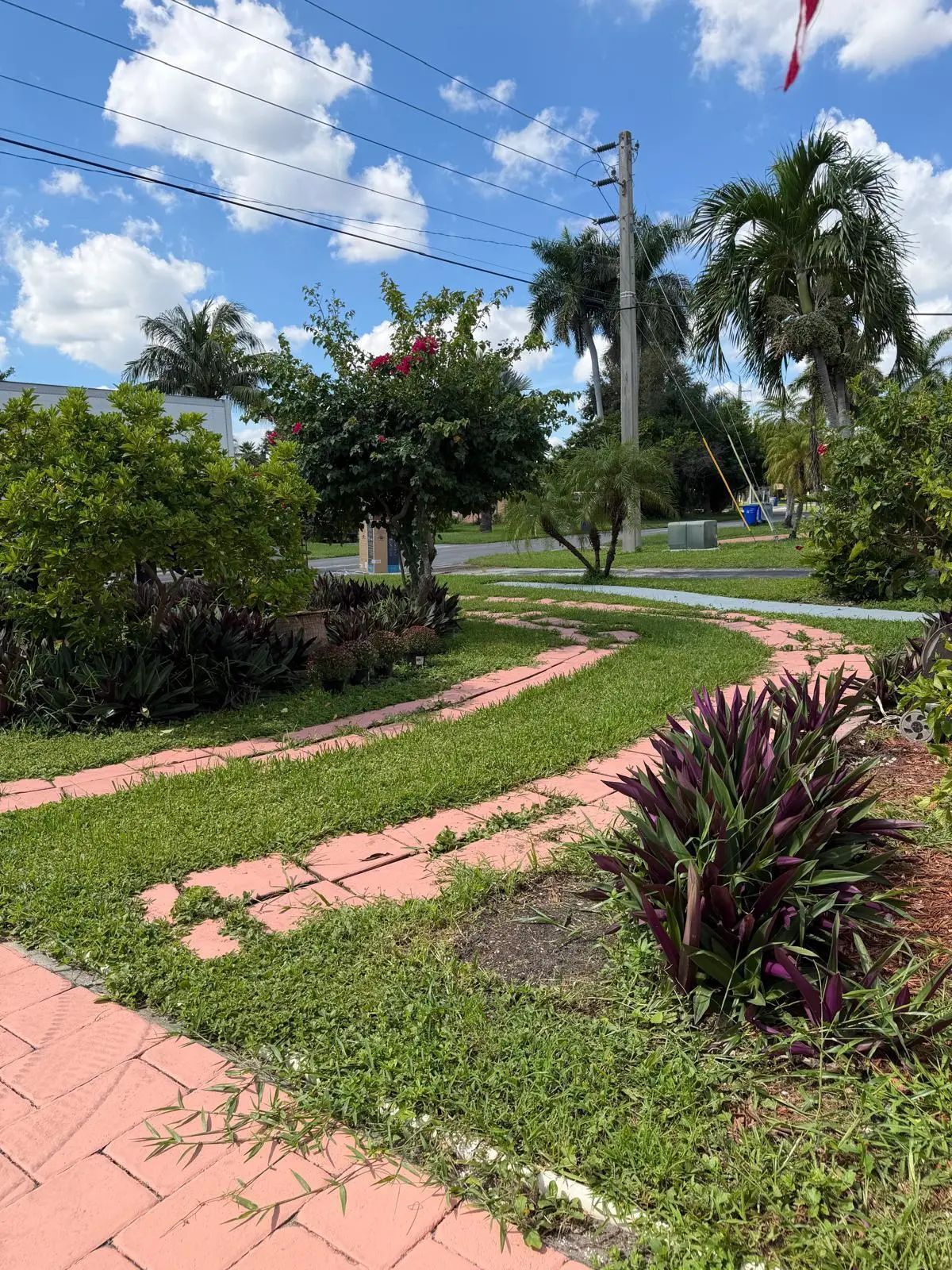 WhatsApp Image 2026-10-01 at 7.29.52 PM at 2349 NE 9TH Street, Pompano Beach