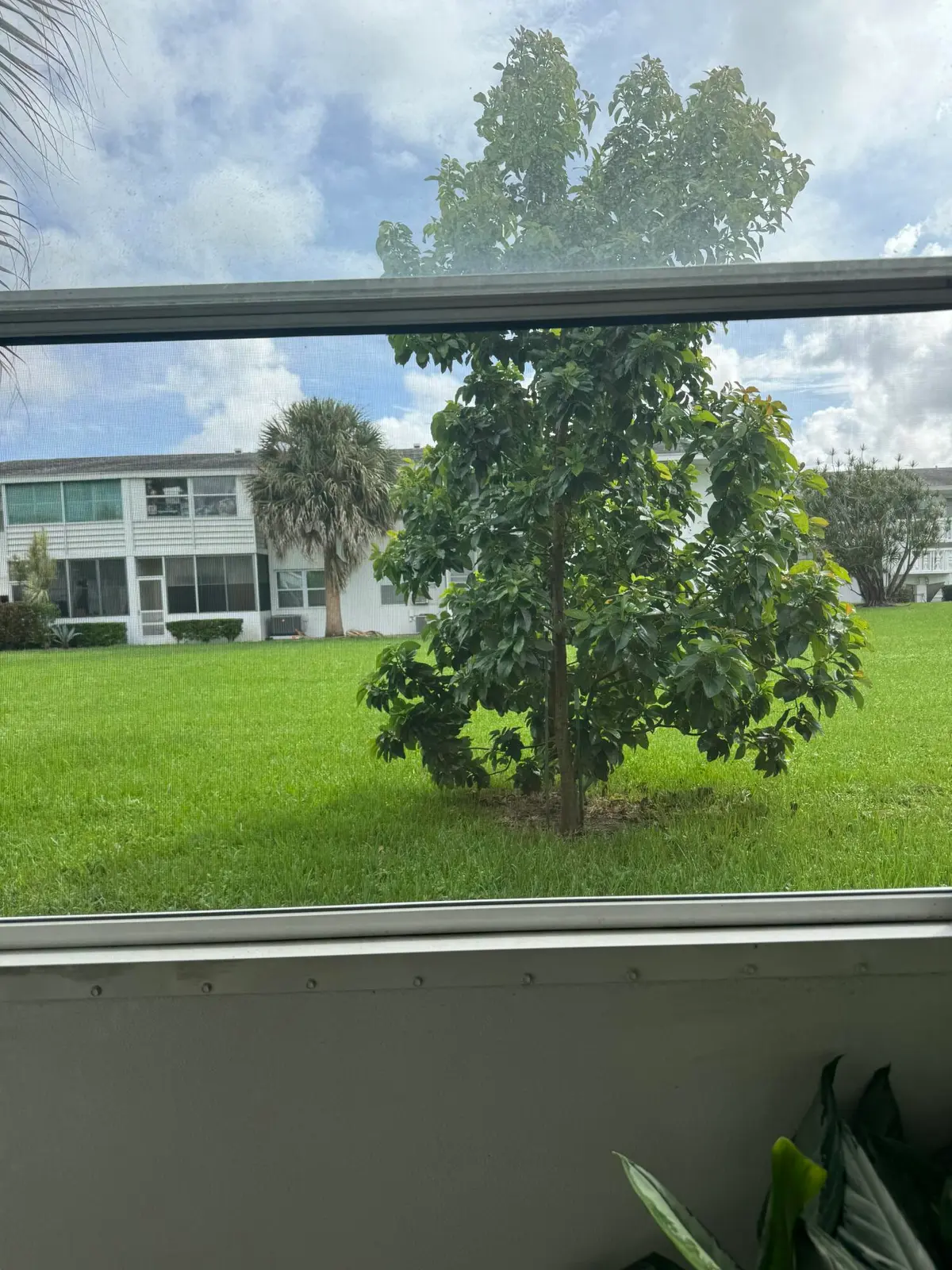IMG_20261006_141925 at 178 Coventry H, West Palm Beach