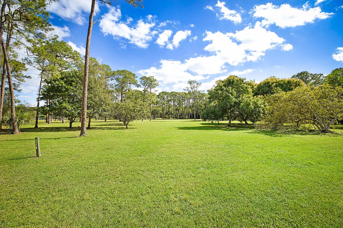fruit trees at 2150/2140 C Road, Loxahatchee Groves