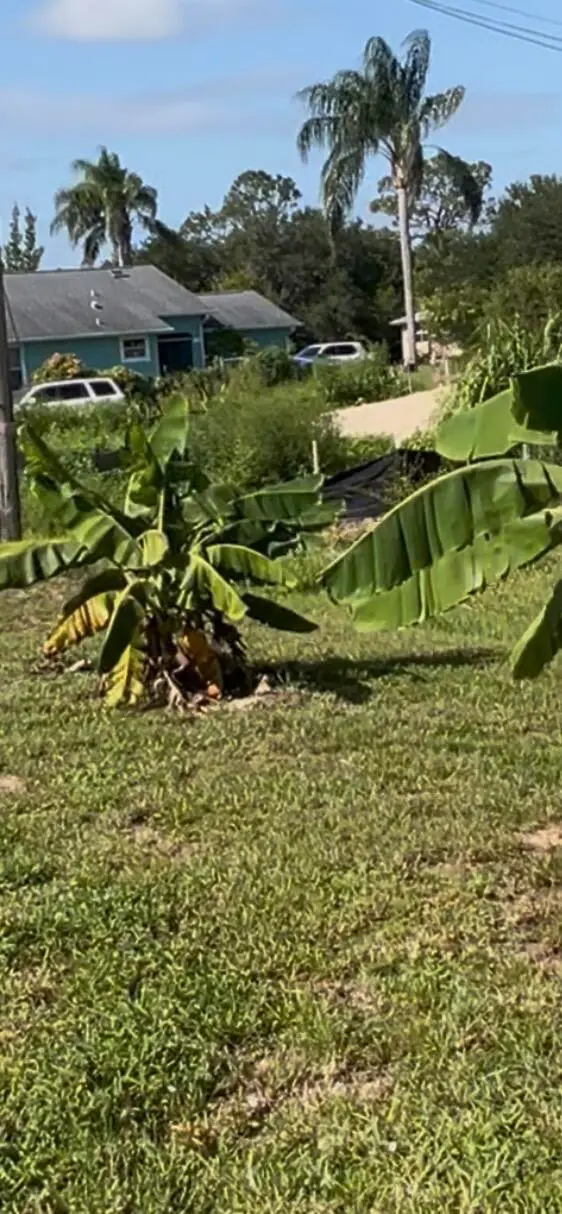 Garden View at 9225 101ST Avenue, Vero Beach