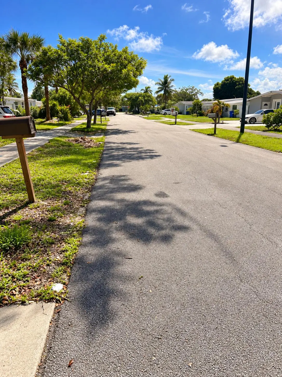 Sunny Palm-Lined Suburban Street at 5260 NE 16TH Avenue, Pompano Beach