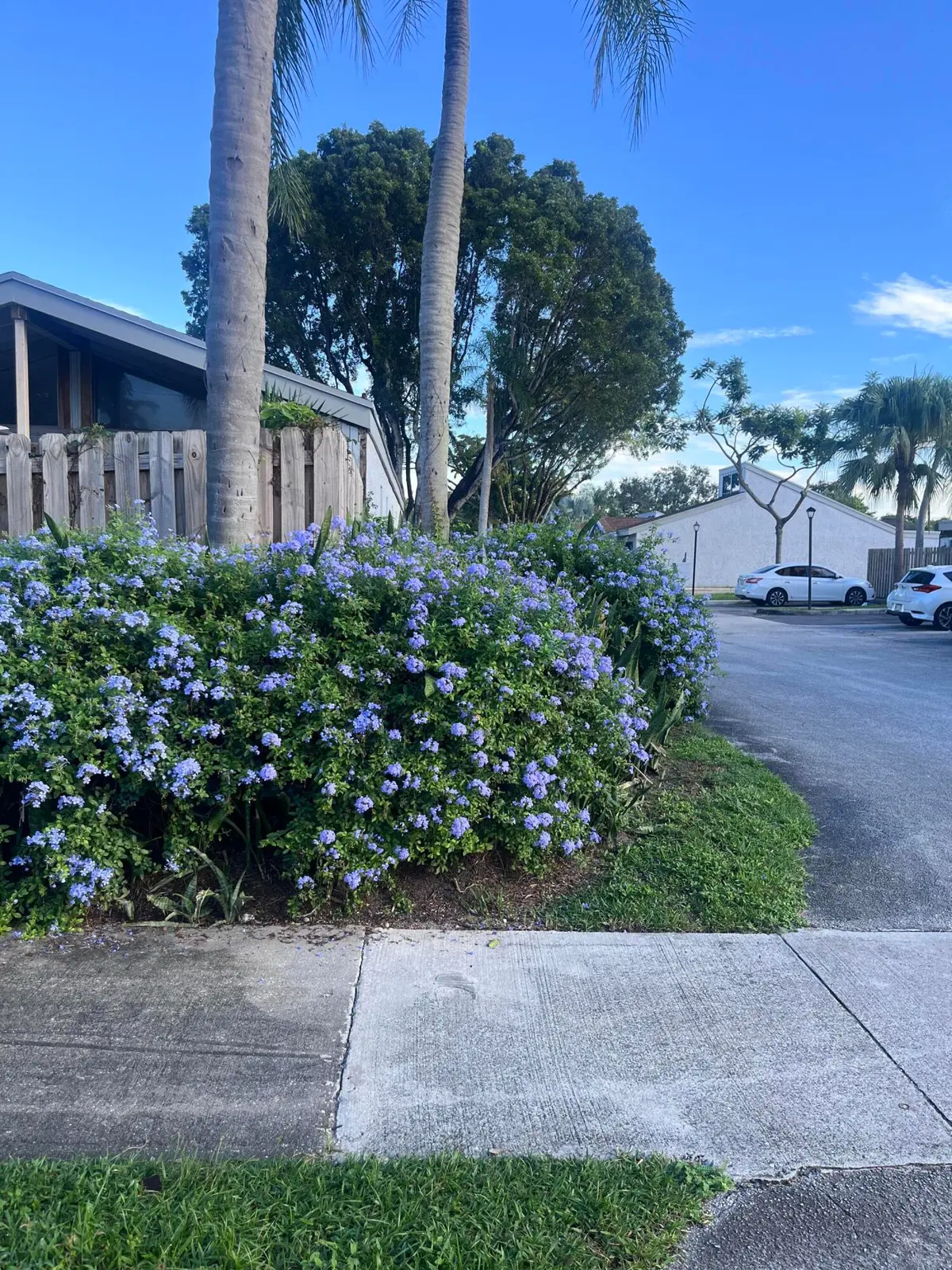 IMG_6571 at 1737 NW 73RD Avenue 41, Plantation