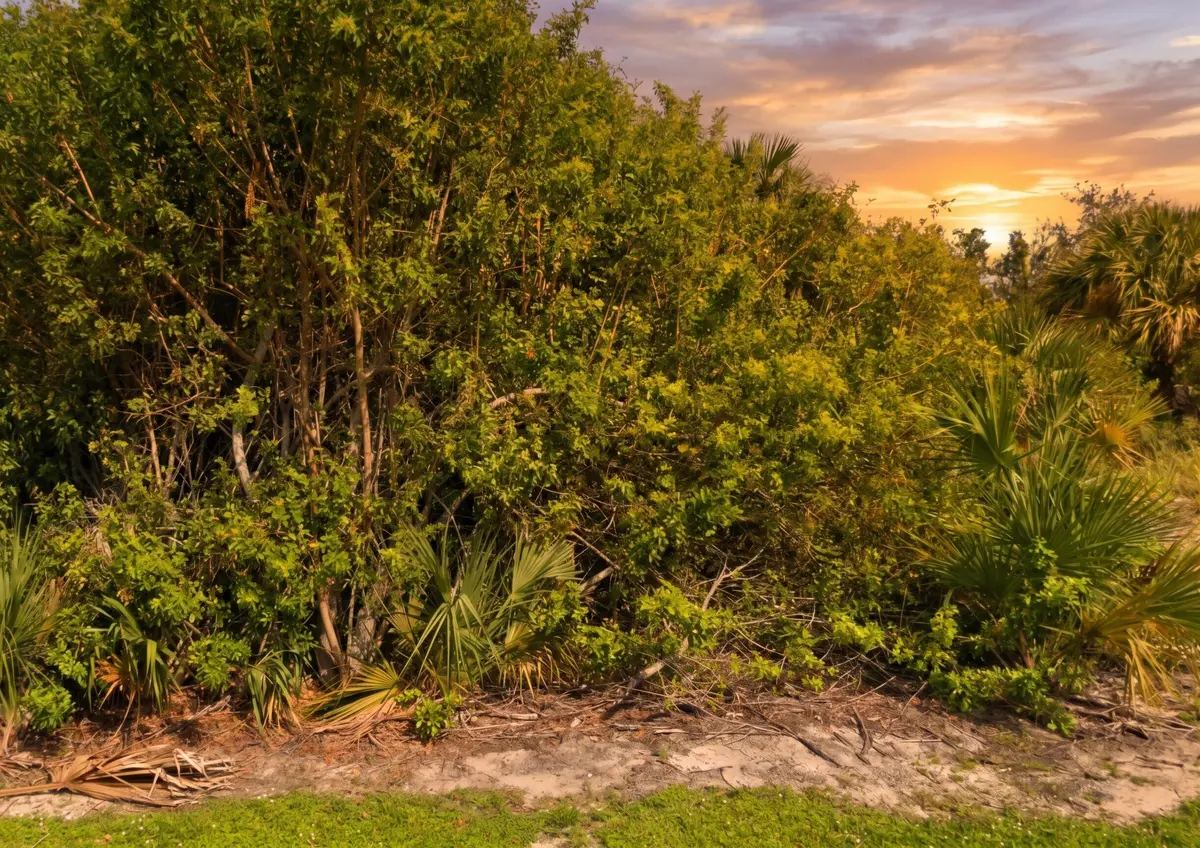 Home Sweet Home at 2300 42nd Street, Vero Beach
