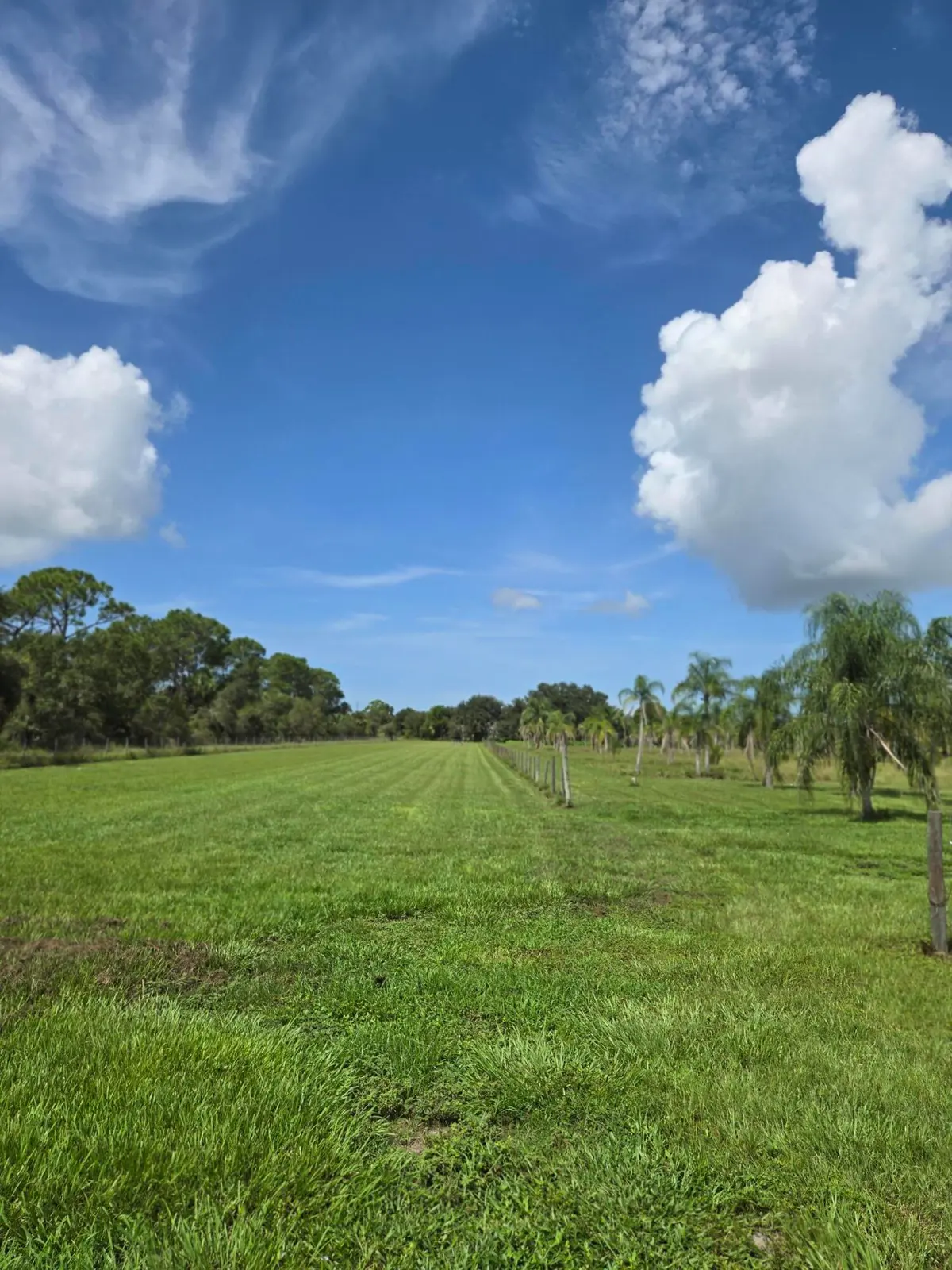 20260912_113553 at 23101 SW CARDAMINE Street, Indiantown