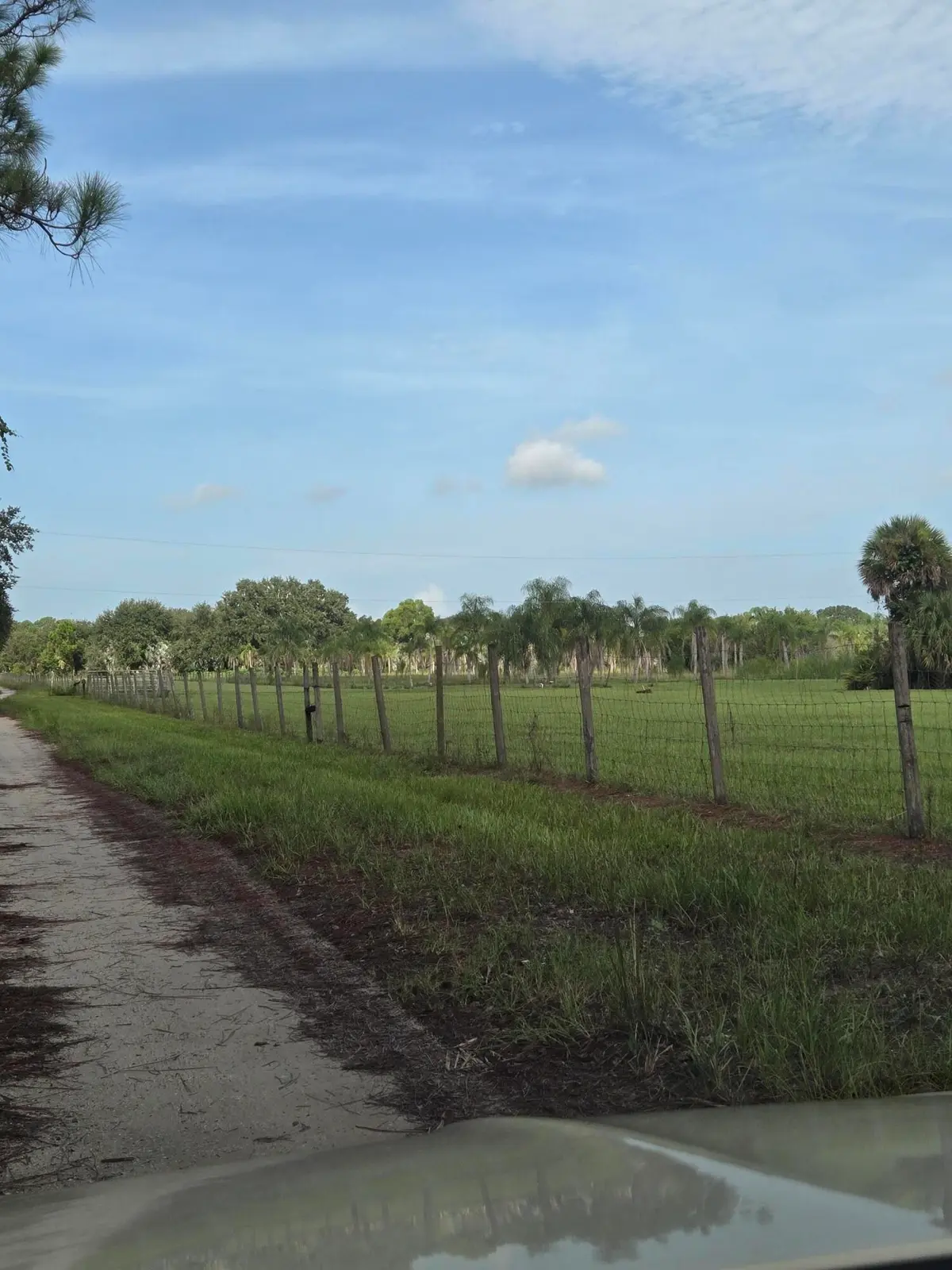20260912_095752 at 23101 SW CARDAMINE Street, Indiantown