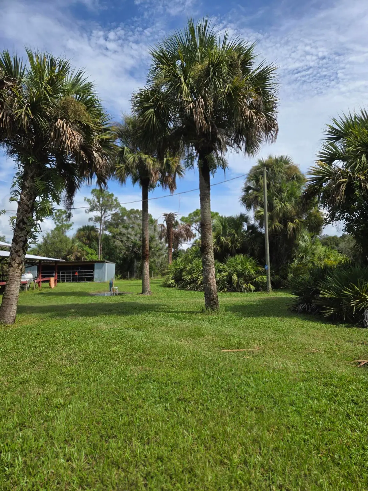 20260912_112612 (1) at 23101 SW CARDAMINE Street, Indiantown