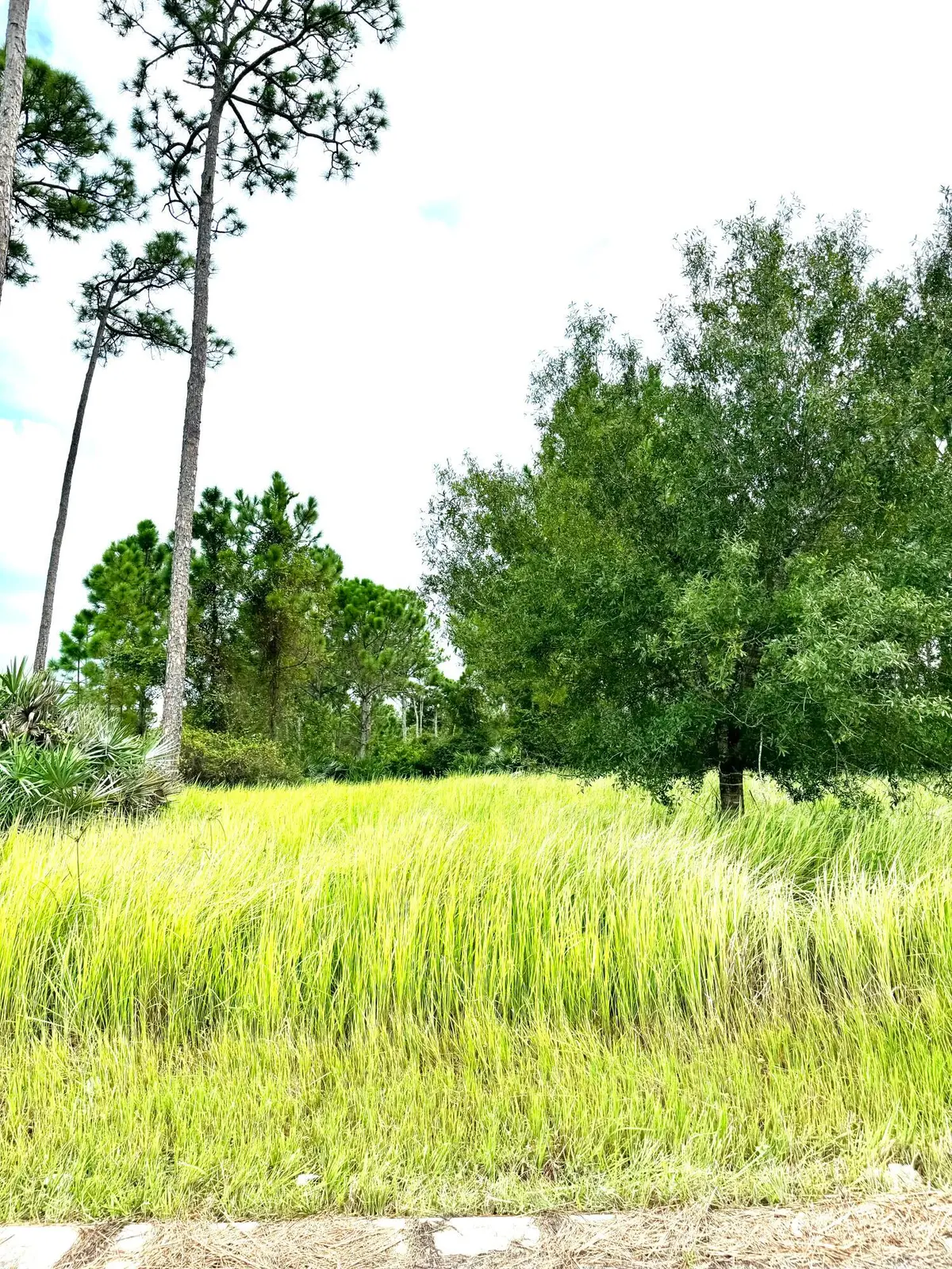 IMG_2265 at 10615 Sugar Pine Drive, Fort Pierce
