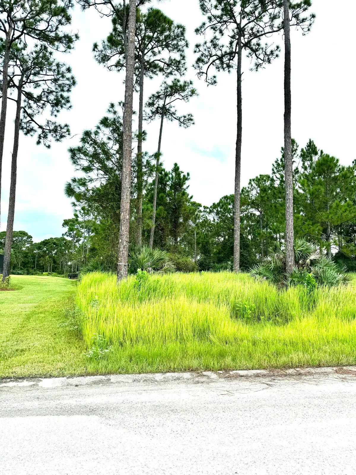 IMG_2258 at 10615 Sugar Pine Drive, Fort Pierce
