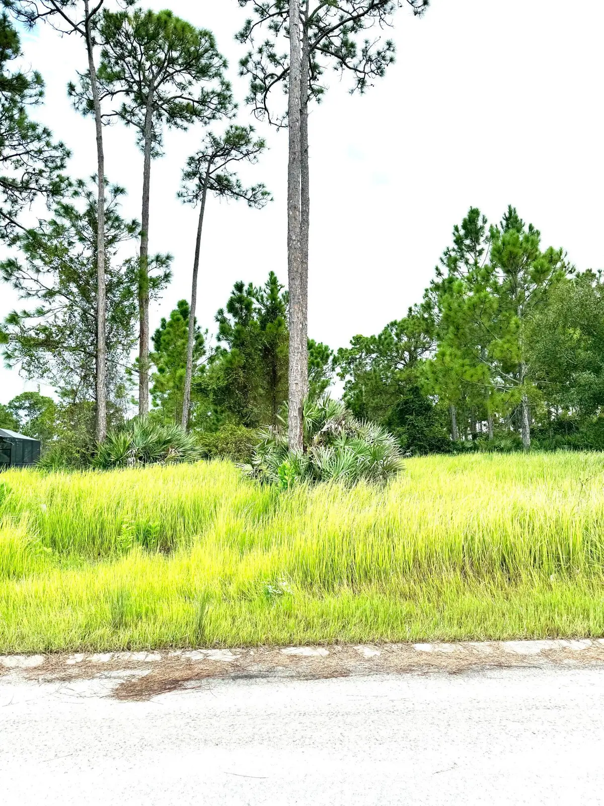 IMG_2257 at 10615 Sugar Pine Drive, Fort Pierce