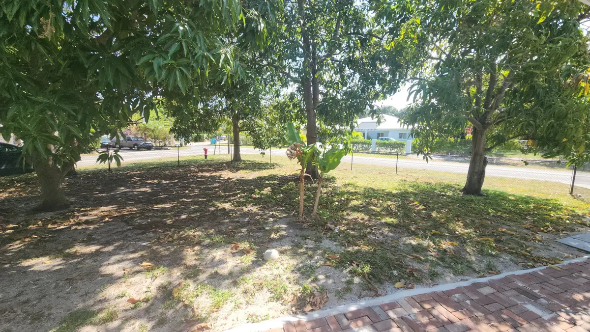fruit trees at 198 SE 27th Court W, Boynton Beach