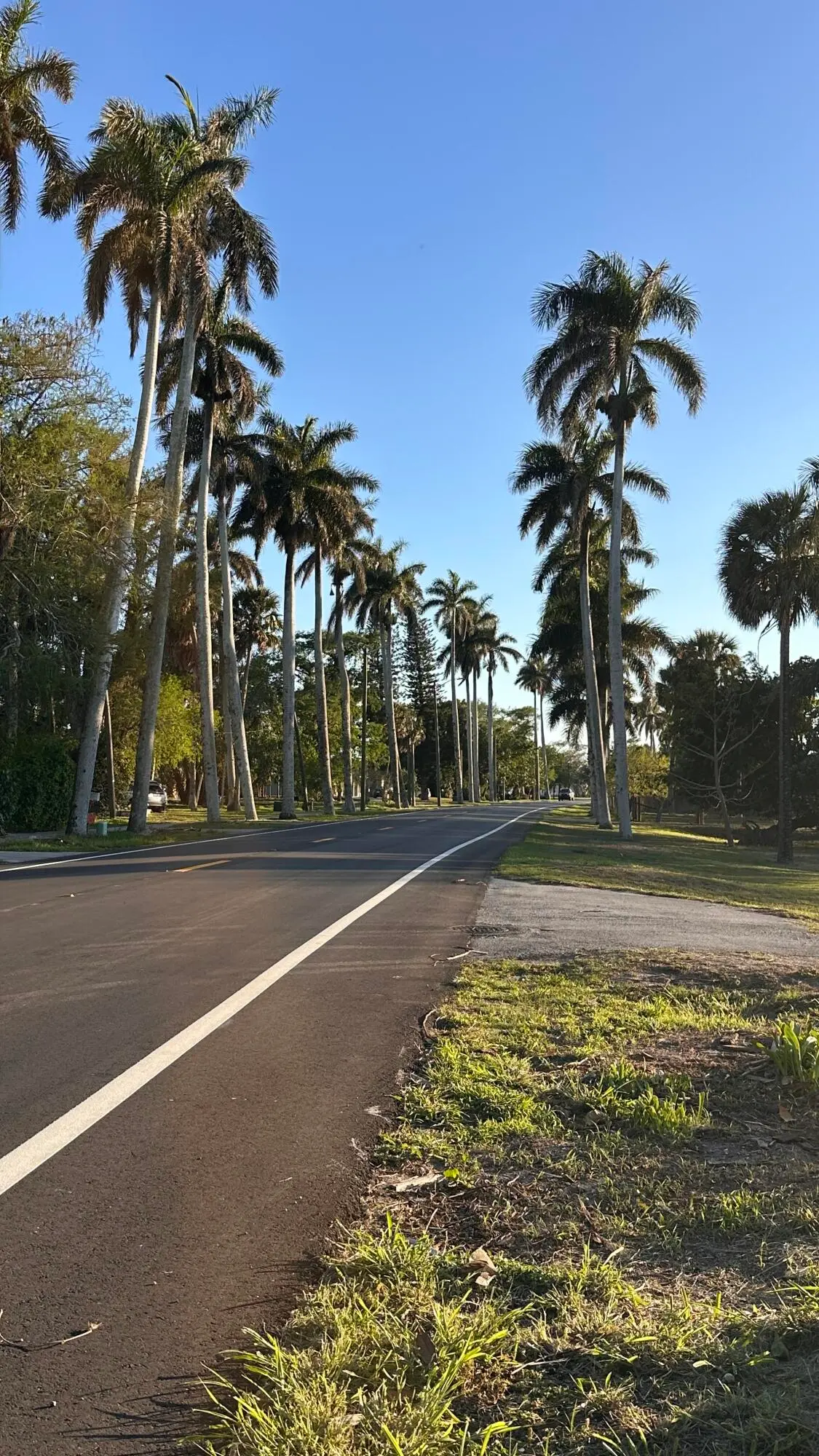 8C2A4FA7-AD6D-4FC1-B613-F5AA5E002DAC at 1977 E Main Street, Pahokee